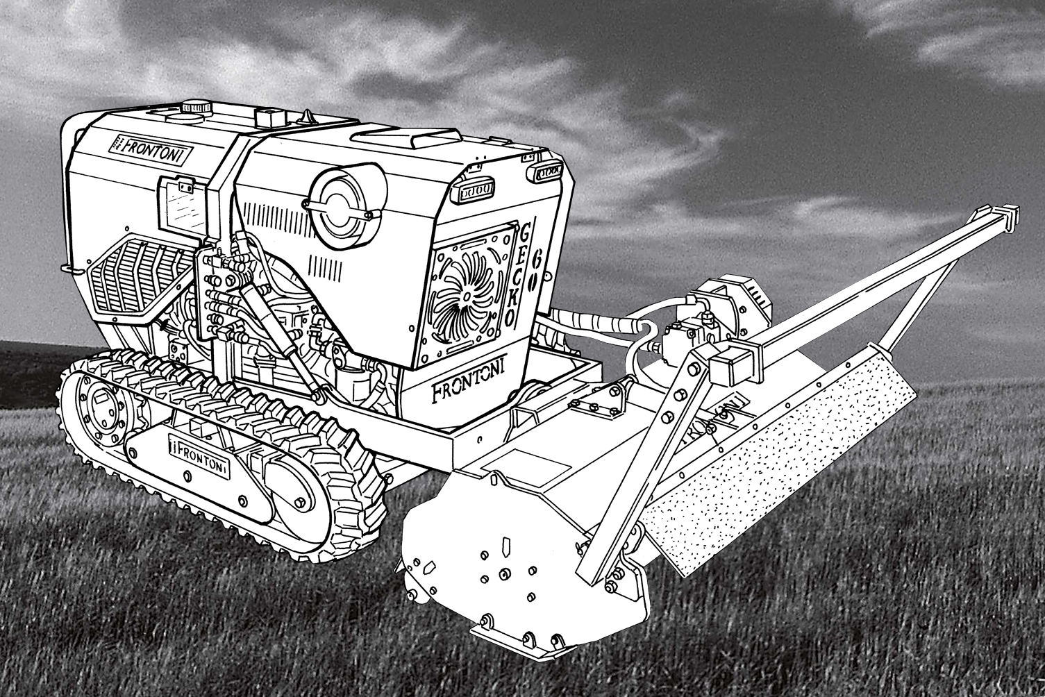 GECKO 60HP copertina